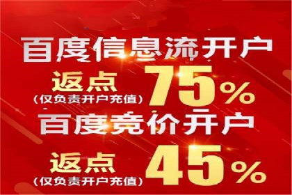 sem竞价托管代运营——广告优化的典范案例